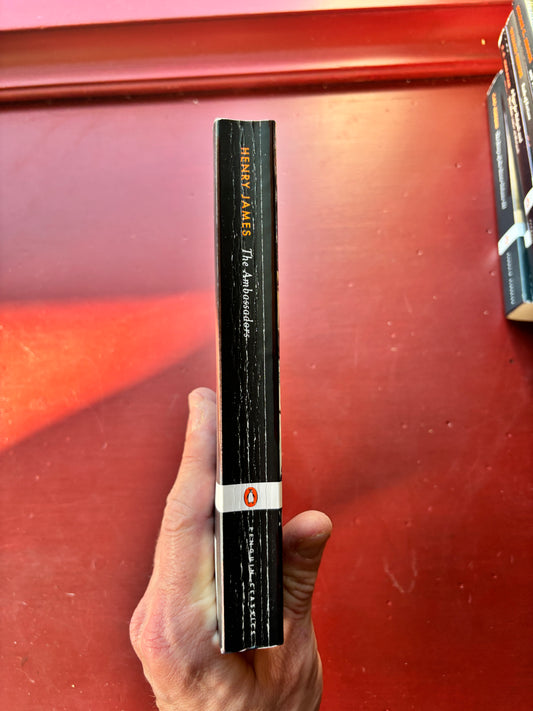 The Ambassadors by Henry James (2003, Trade Paperback)