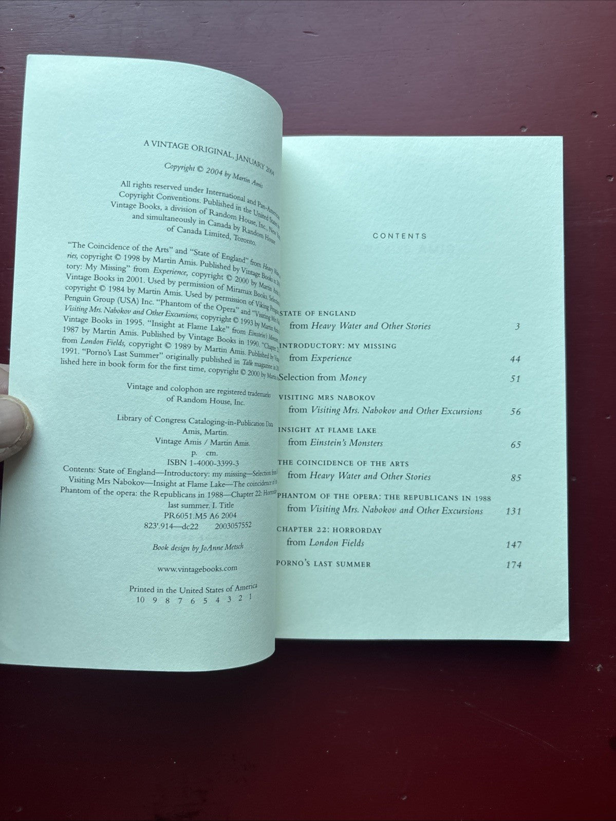 VINTAGE AMIS: SELECTED PROSE by MARTIN AMIS (2004) PAPERBACK ORIGINAL, 1st PRINT