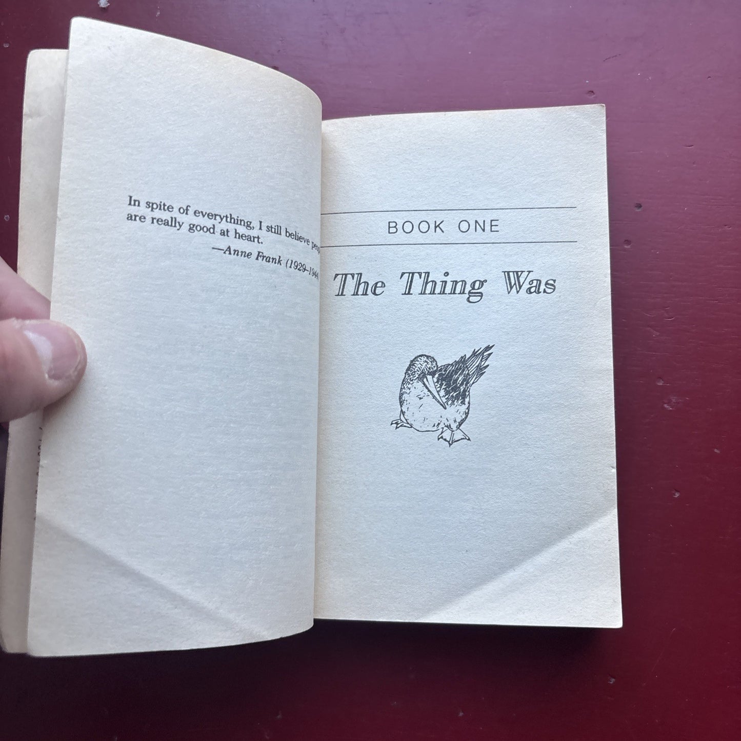 Galapagos by Vonnegut, Kurt, Jr.