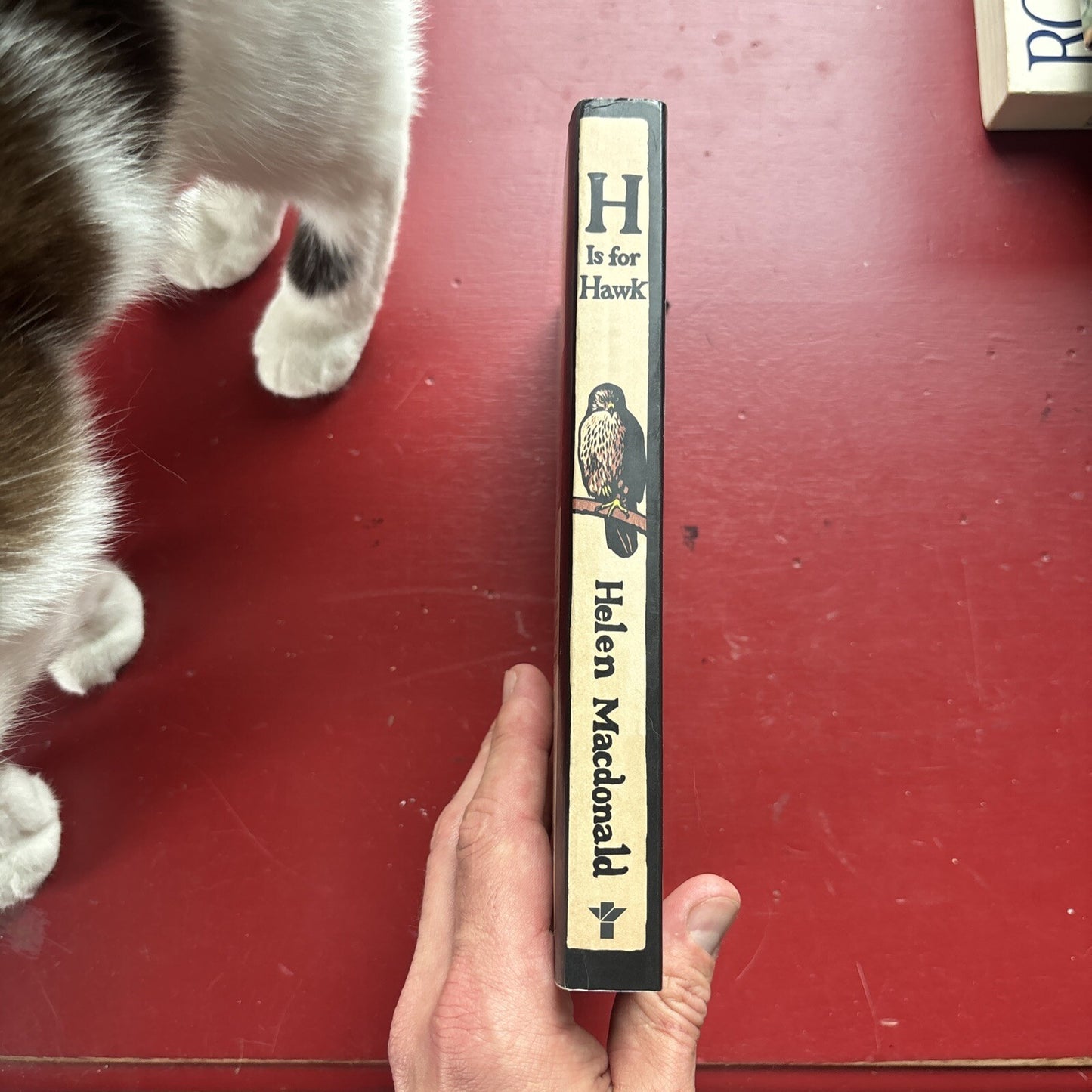 H Is for Hawk by Helen Macdonald (2016, Trade Paperback)