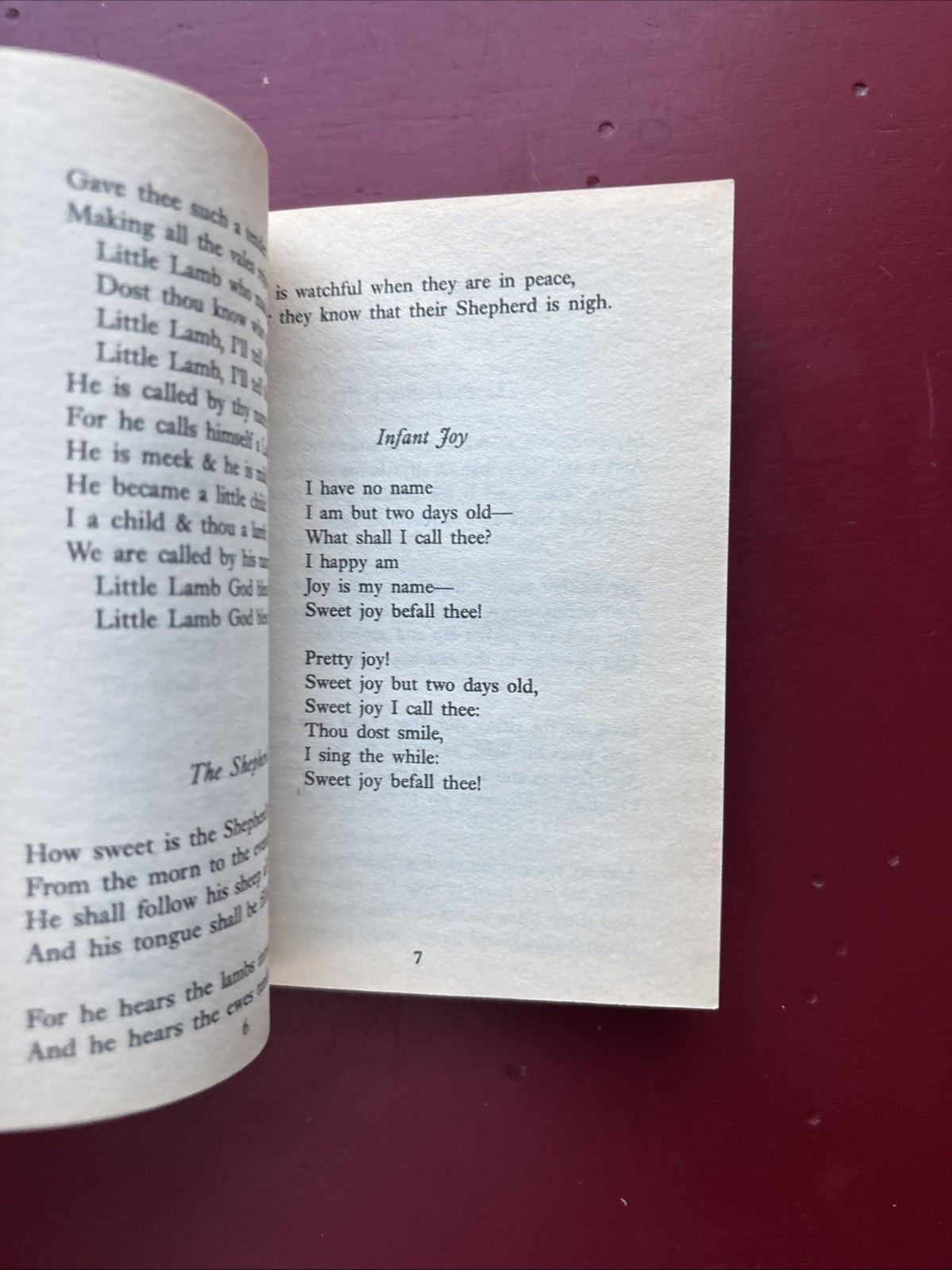 “Songs of Innocence & Songs of Experience" by William Blake & Essays Montaigne