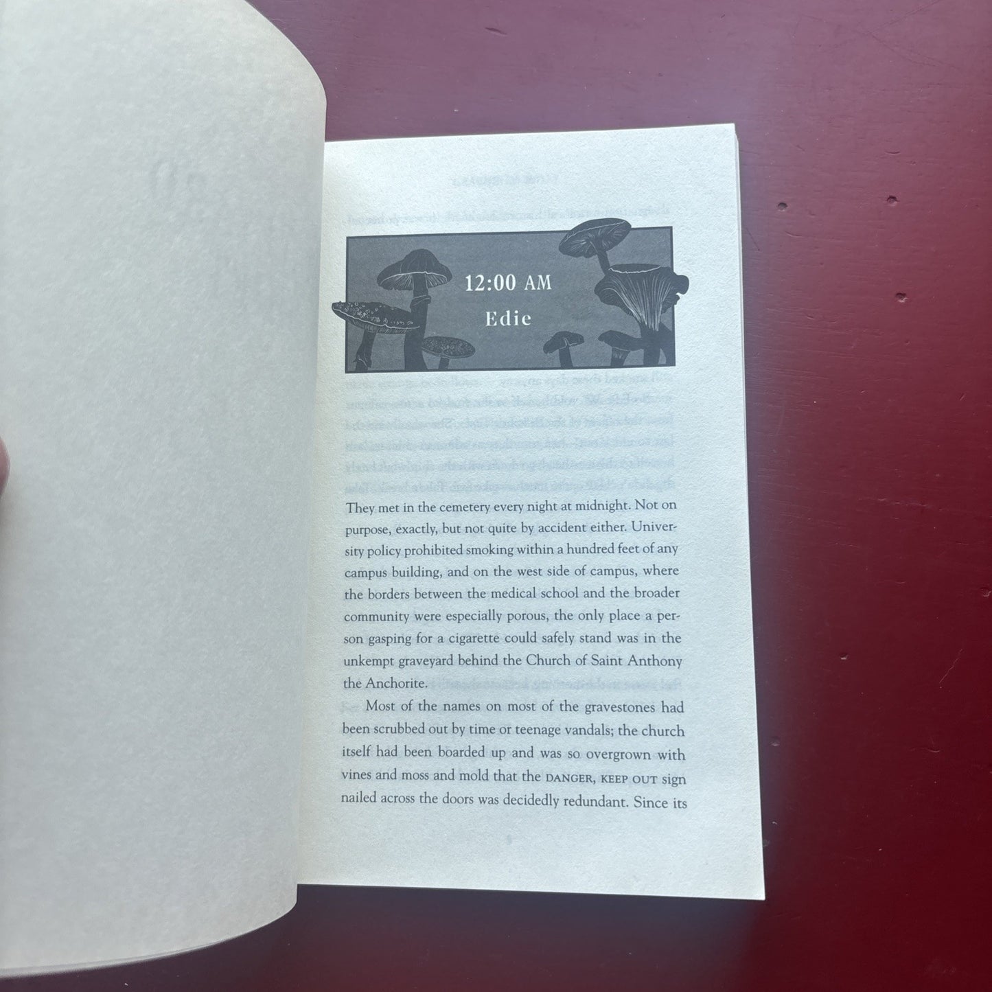Graveyard Shift M. L. Rio Novella Paperback 2024 First Edition