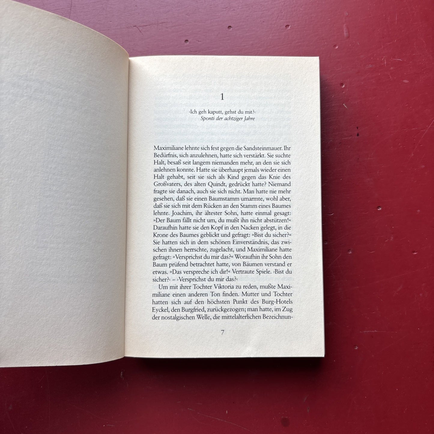 Die Quints Paperback Christine Brückner