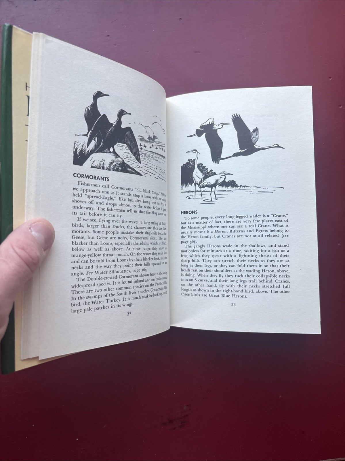 How to Know the Birds Recognition Guide by Roger Tory Peterson 1986 Edition