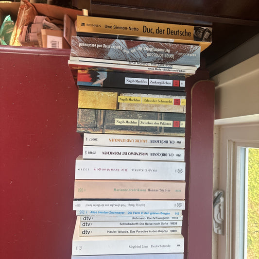 Massive German Book Lot 33 Soft (in German) VG+ Goldmann DTV UT Ullstein Insel