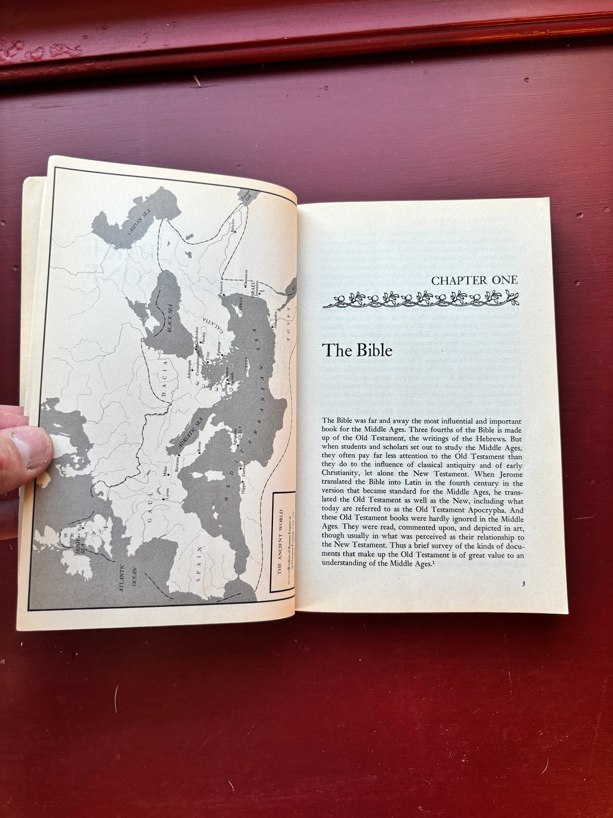 Medieval World View by William Cook (1962, Trade Paperback)