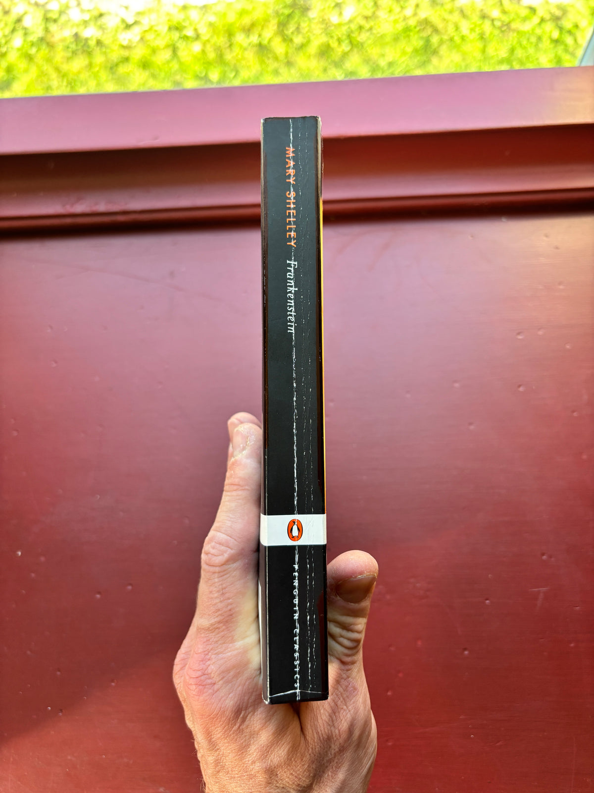 Frankenstein by Mary Shelly (2003, Trade Paperback)