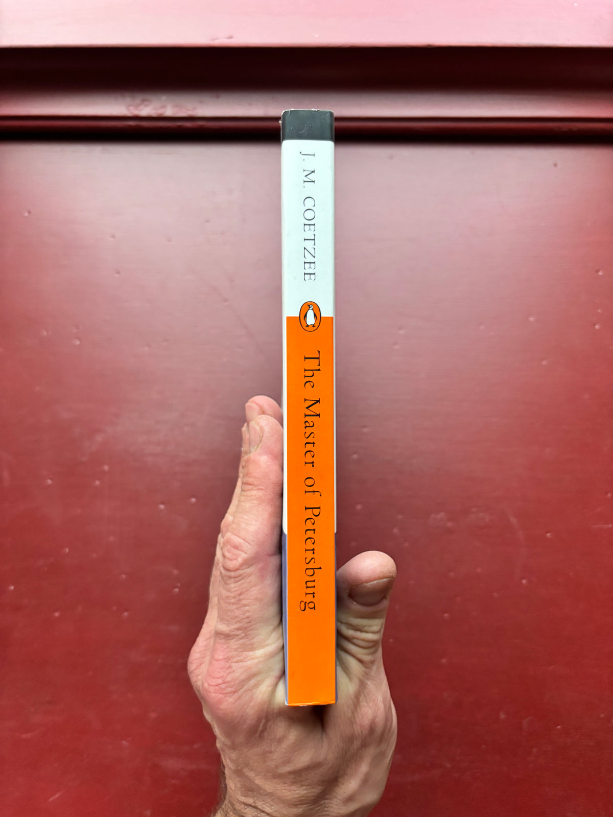 The Master of Petersburg by J.M. Coetzee (1994, Trade Paperback)