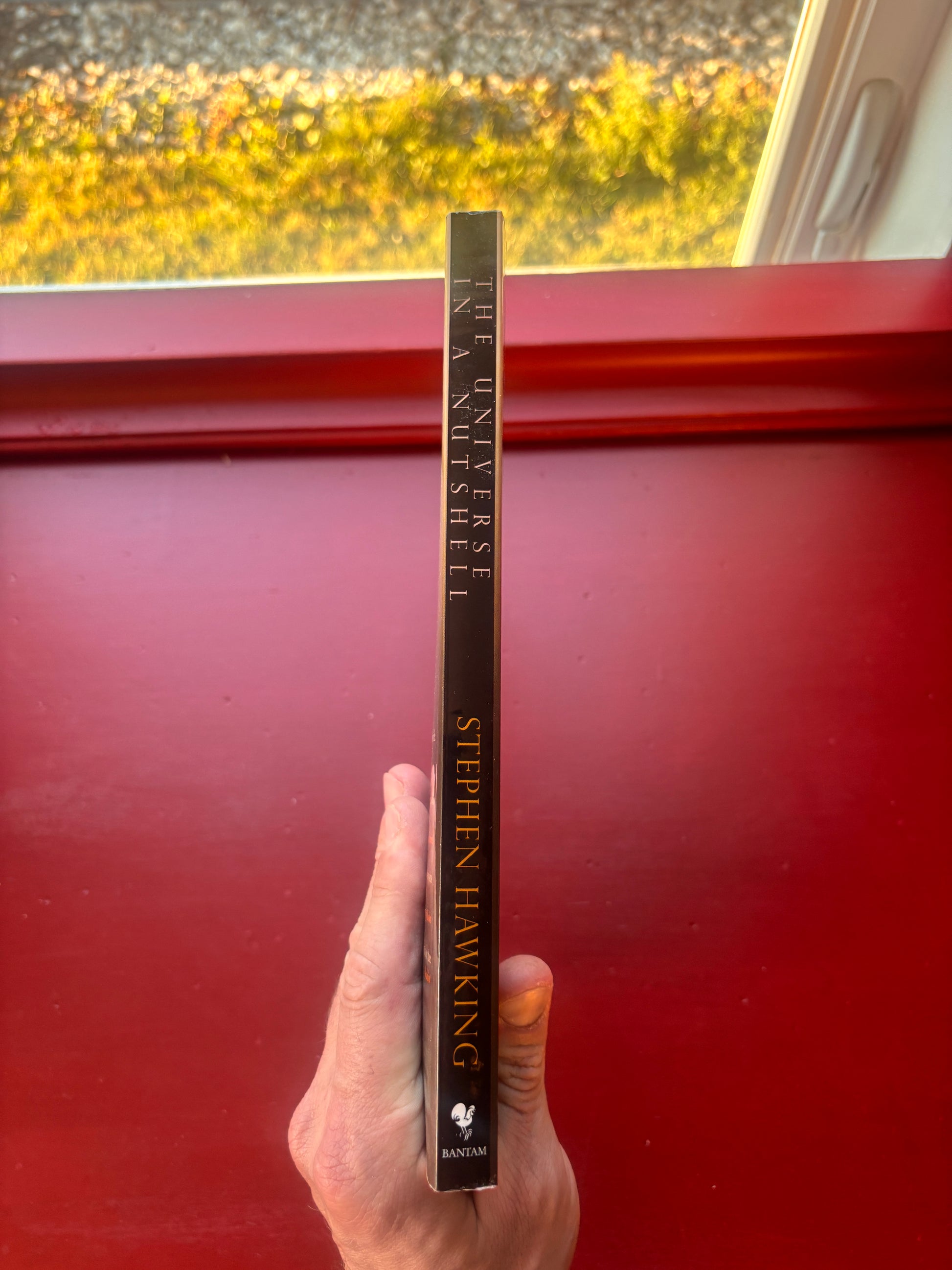 Universe in a Nutshell by Stephen Hawking (2001, Trade Paperback)