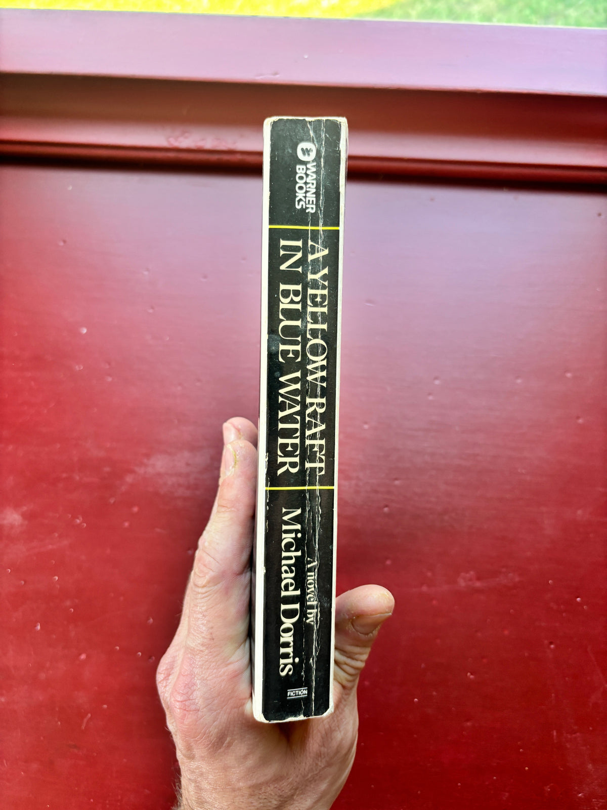 A Yellow Raft in Blue Water by Michael Dorris (1988, Trade Paperback)
