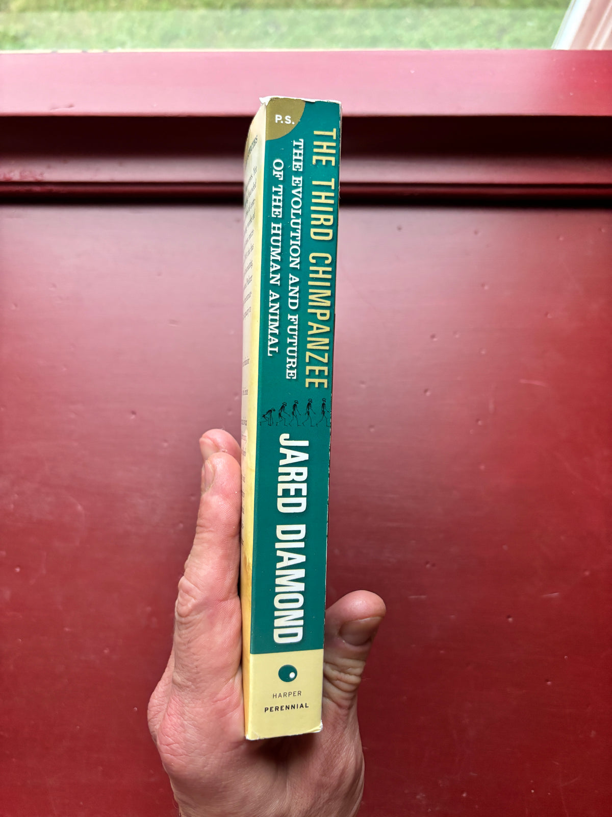 The Third Chimpanzee by Jared Diamond (1993, Trade Paperback)