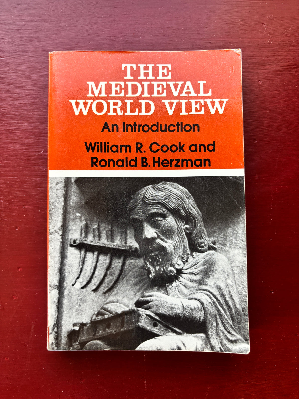 Medieval World View by William Cook (1962, Trade Paperback)