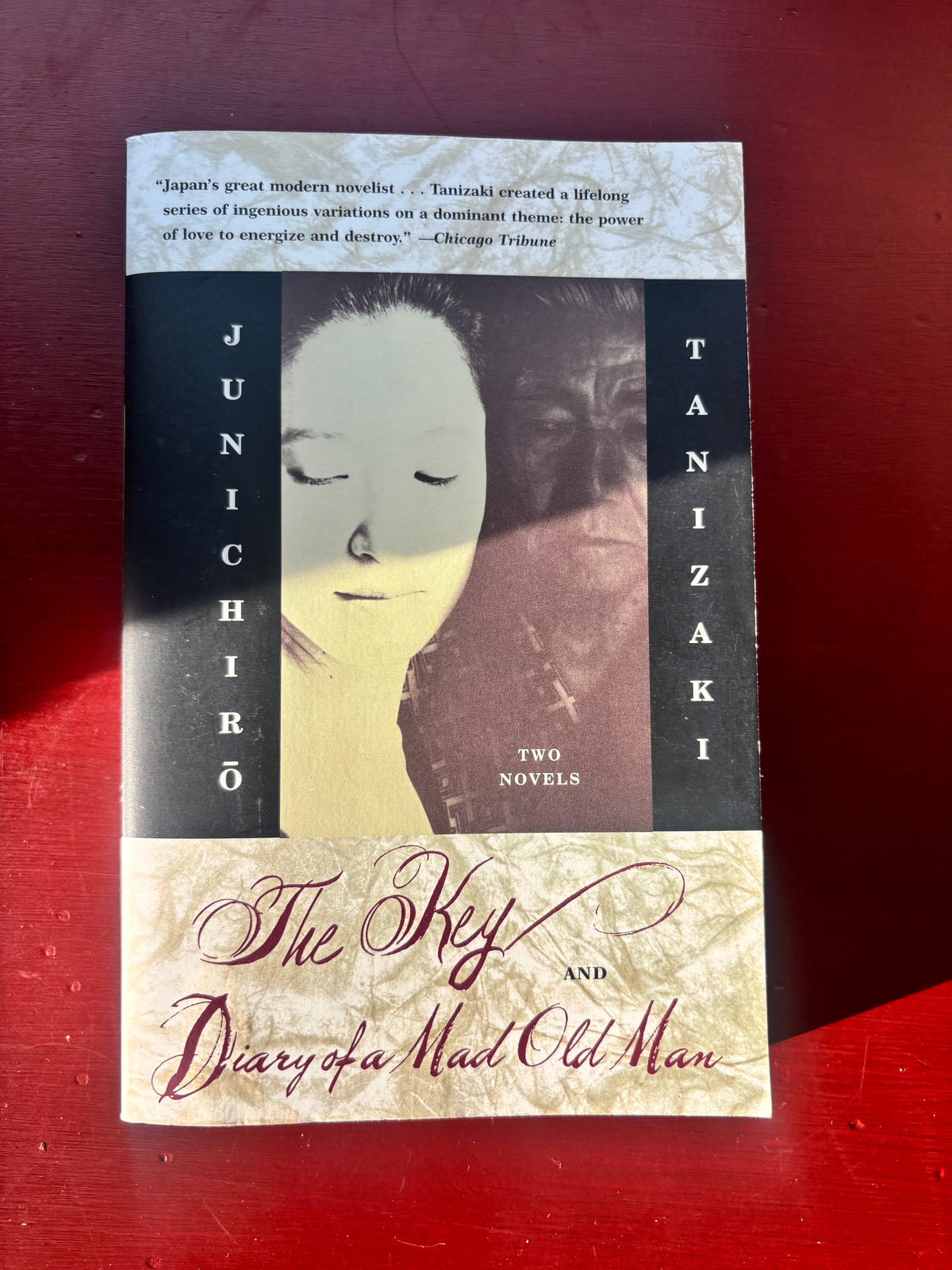 The Key & Diary of a Mad Old Man by Junichiro Tanizaki (1965, Trade Paperback)