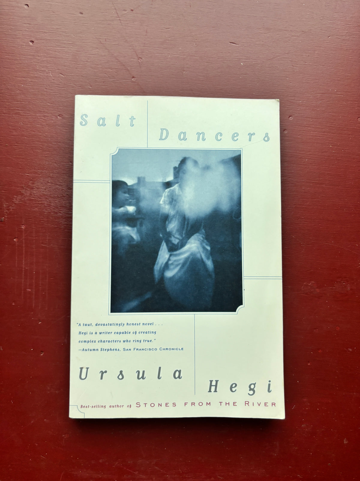 Salt Dancers by Ursula Hegi (1995, Trade Paperback)