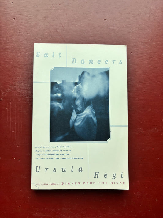 Salt Dancers by Ursula Hegi (1995, Trade Paperback)