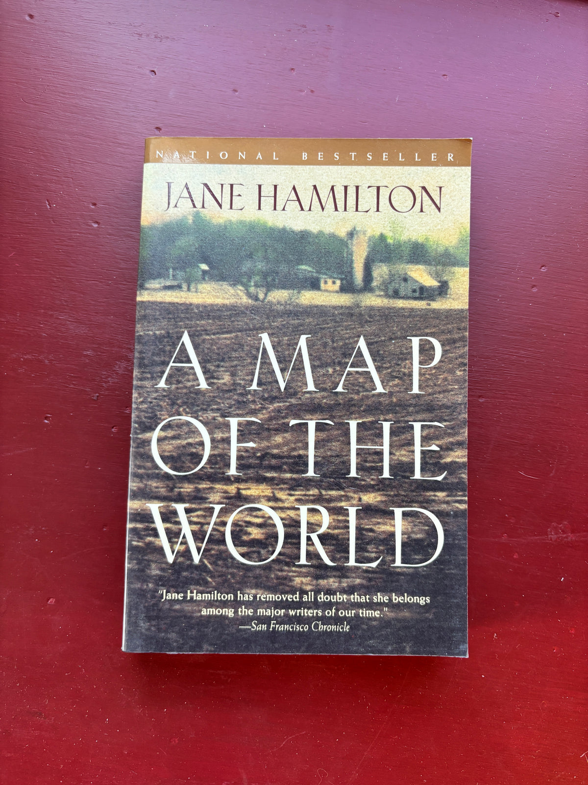 A Map of the World by Jane Hamilton (1994, Trade Paperback)