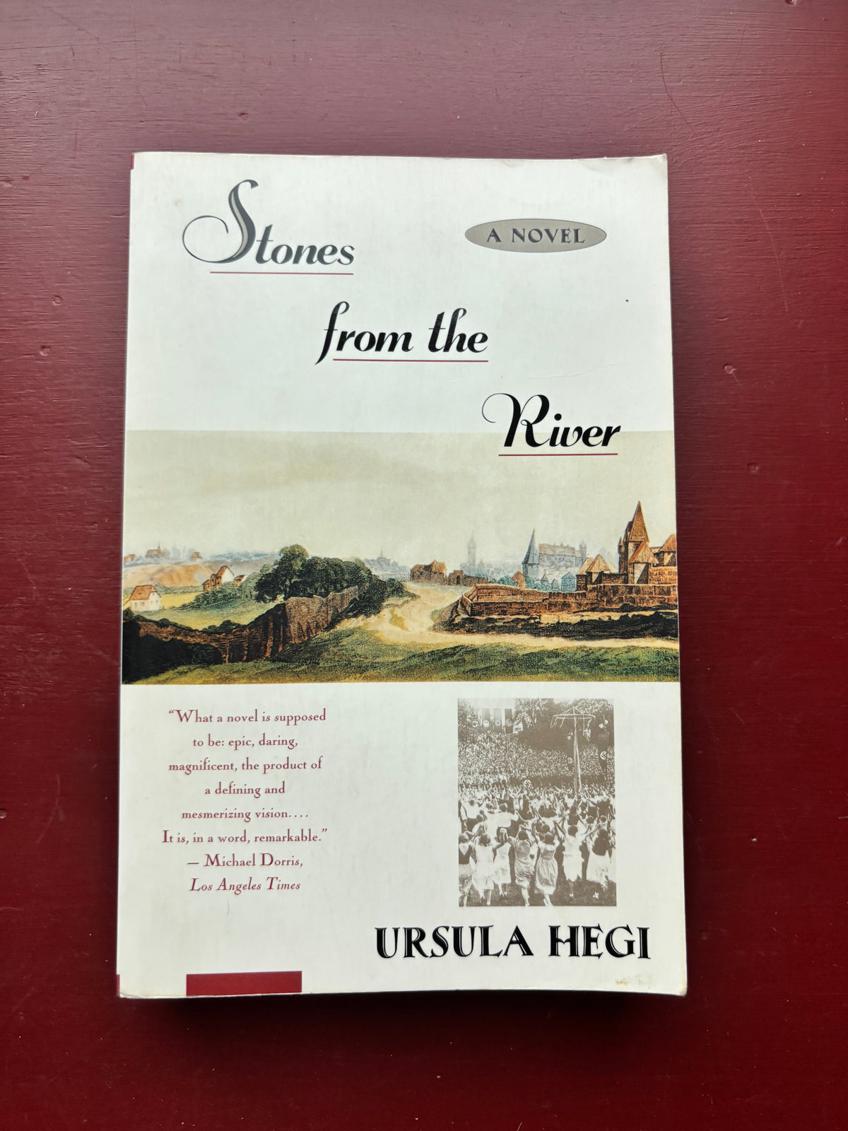 Stones from the River by Ursula Hegi (1994, Trade Paperback)