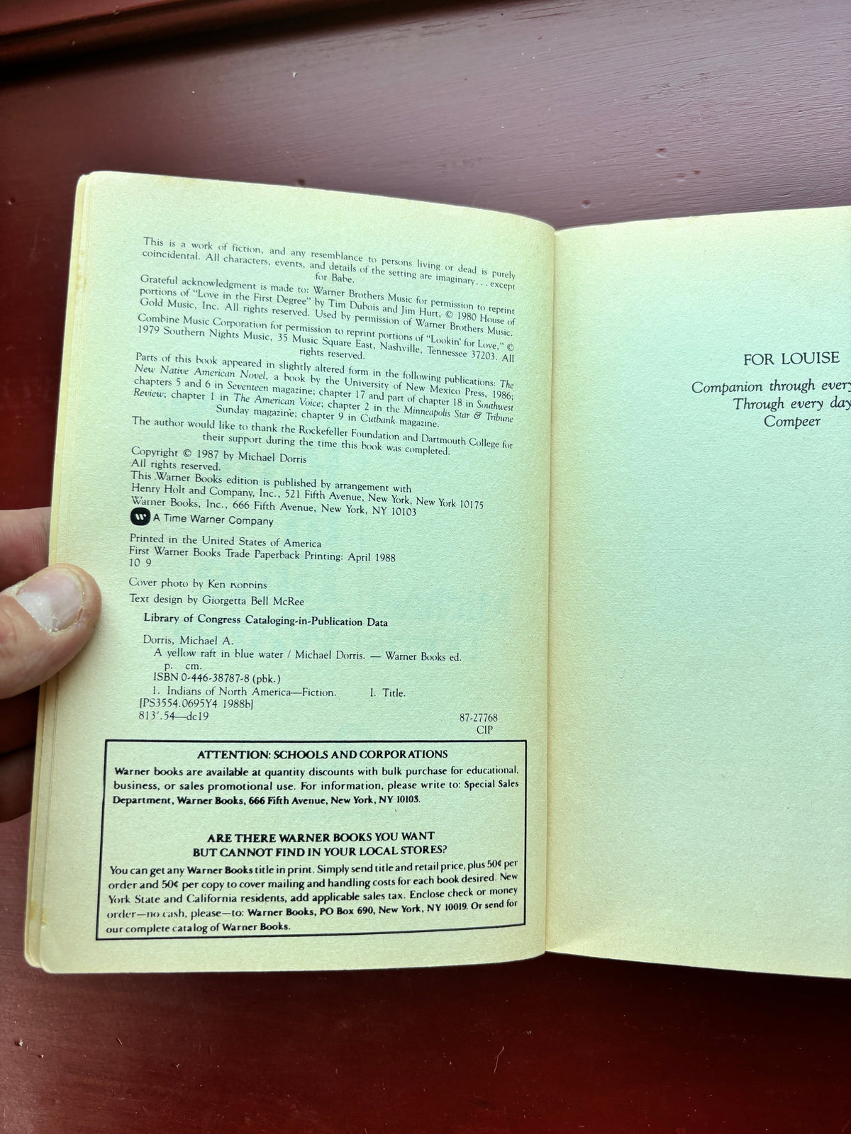 A Yellow Raft in Blue Water by Michael Dorris (1988, Trade Paperback)