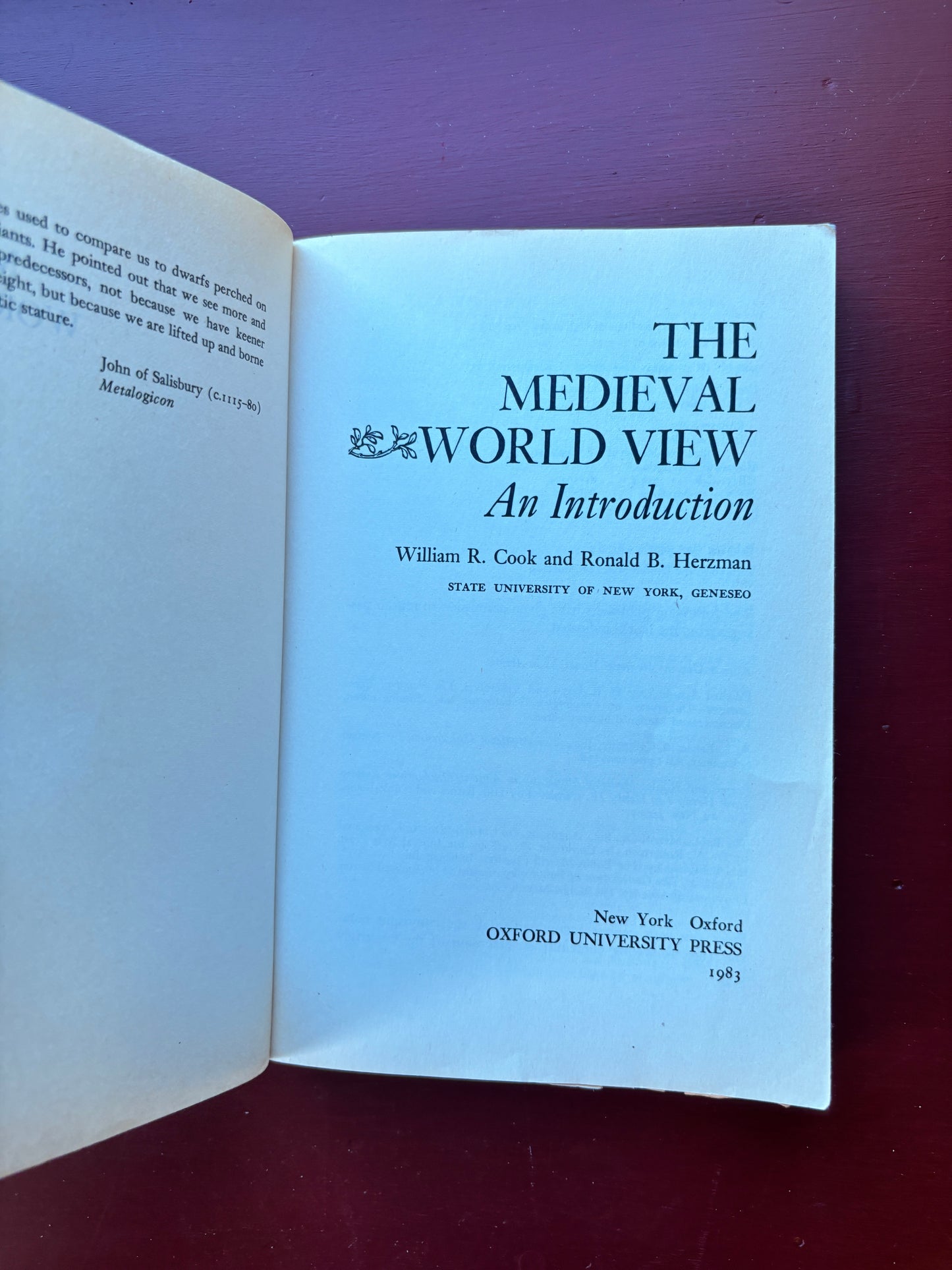 Medieval World View by William Cook (1962, Trade Paperback)