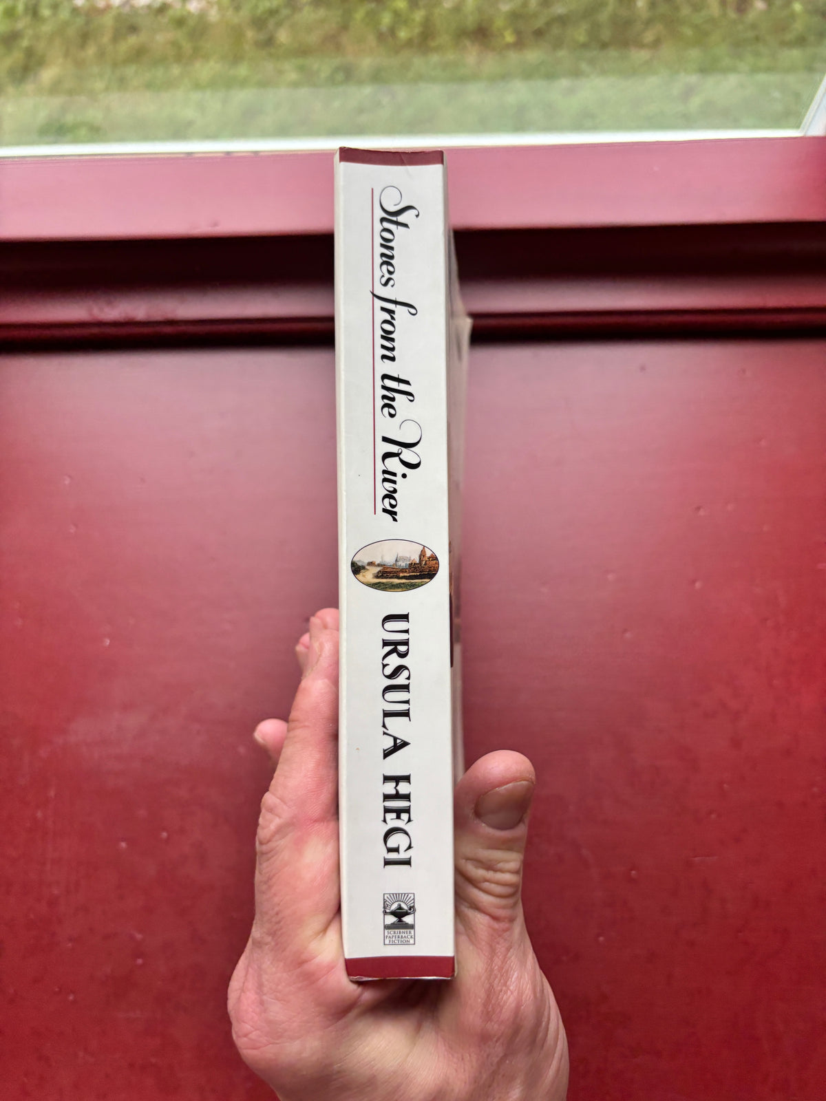 Stones from the River by Ursula Hegi (1994, Trade Paperback)