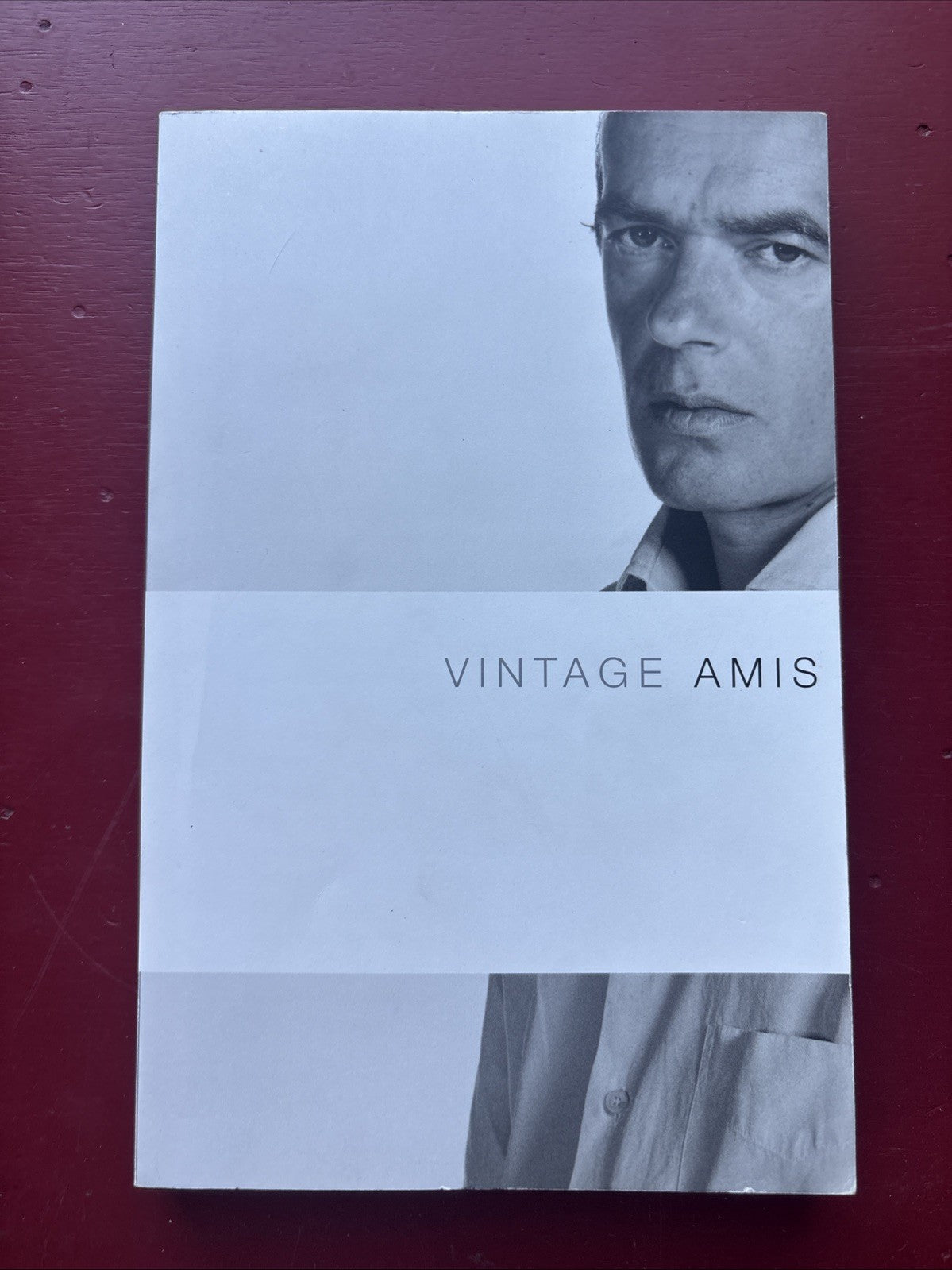 VINTAGE AMIS: SELECTED PROSE by MARTIN AMIS (2004) PAPERBACK ORIGINAL, 1st PRINT