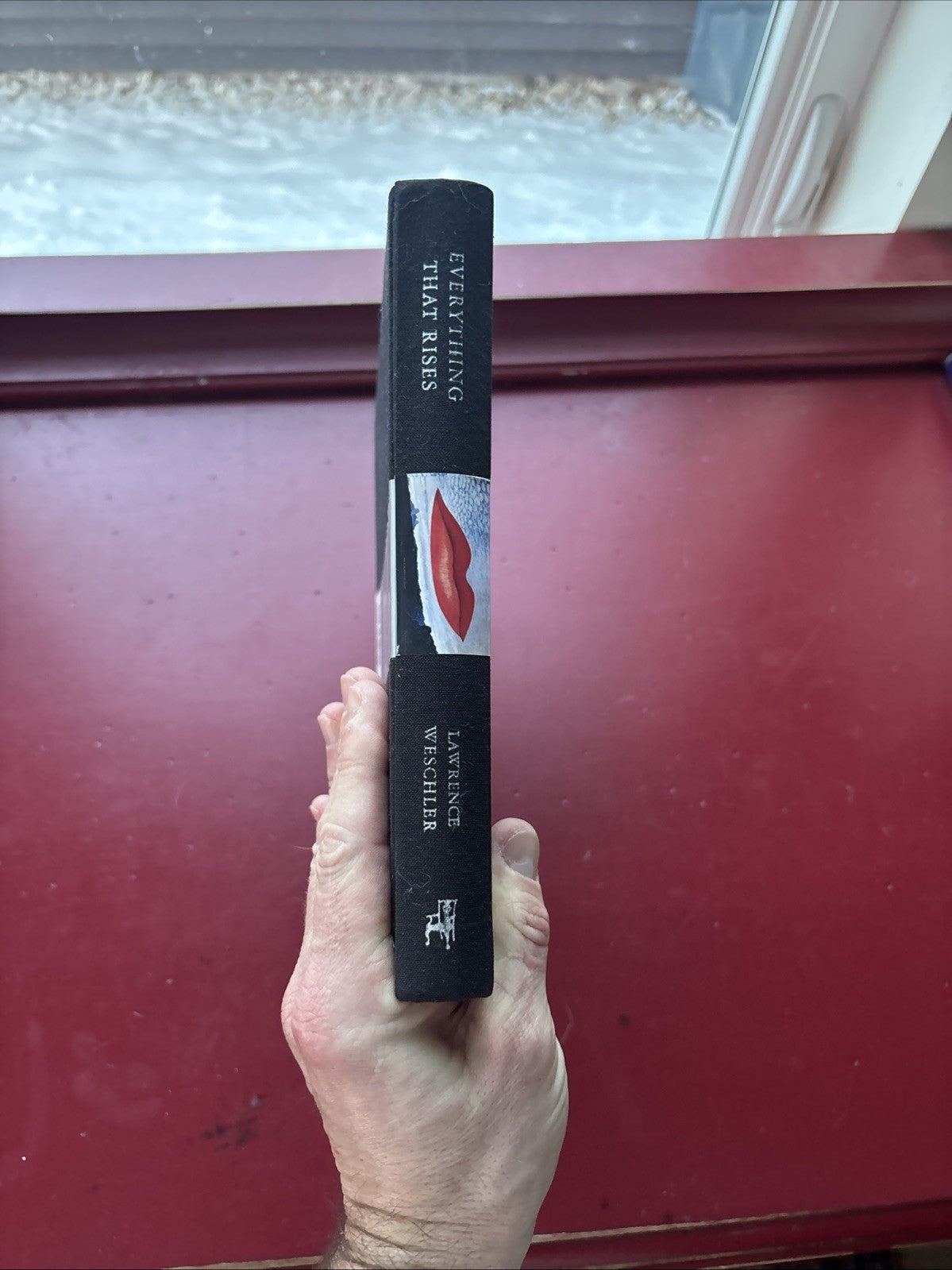 Lawrence Weschler / Everything That Rises A Book of Convergences 1st ed 2006