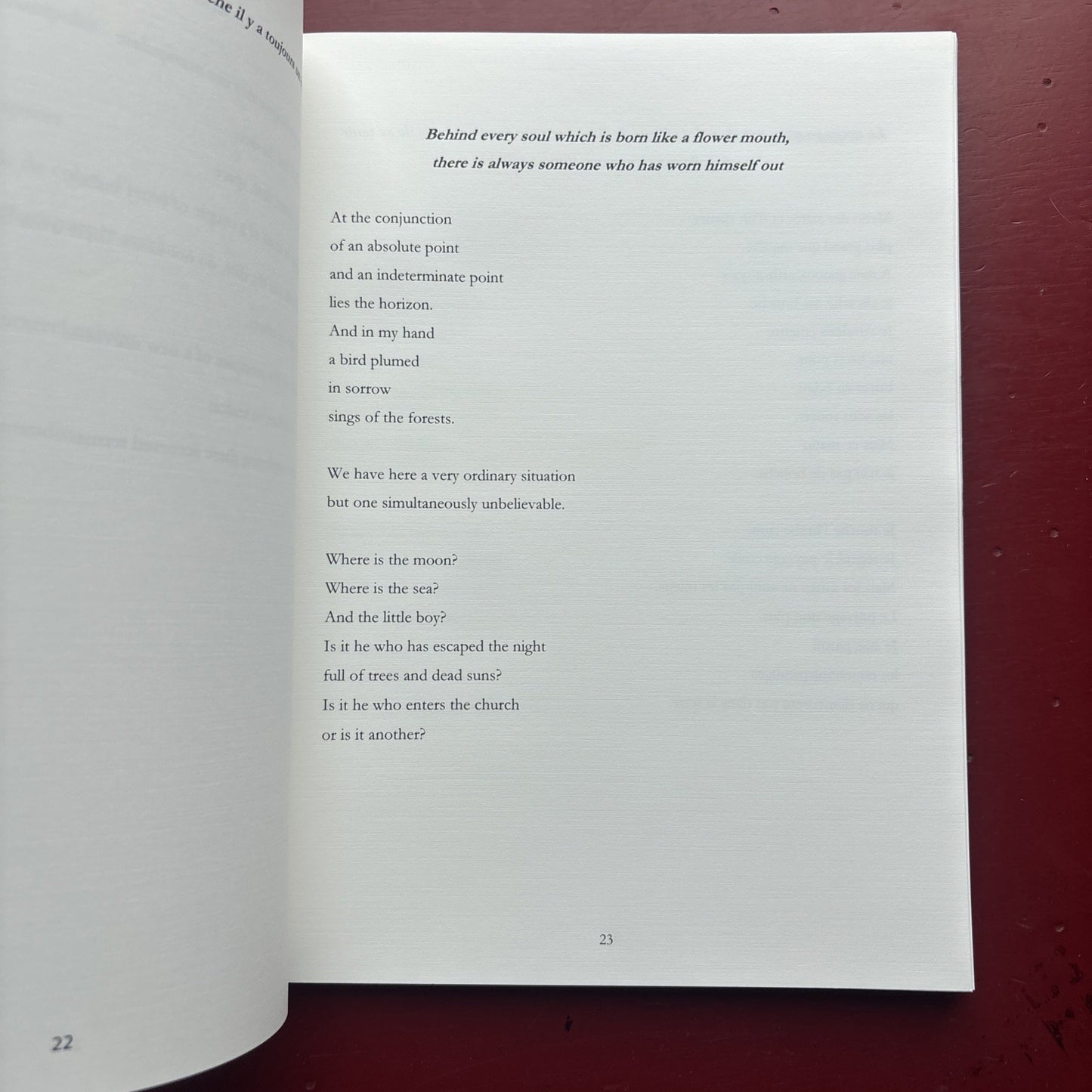 Dix Meditations Quelques Mots D’Antonin Artaud Sawyer-Laucanno ALYSCAMPS PRESS