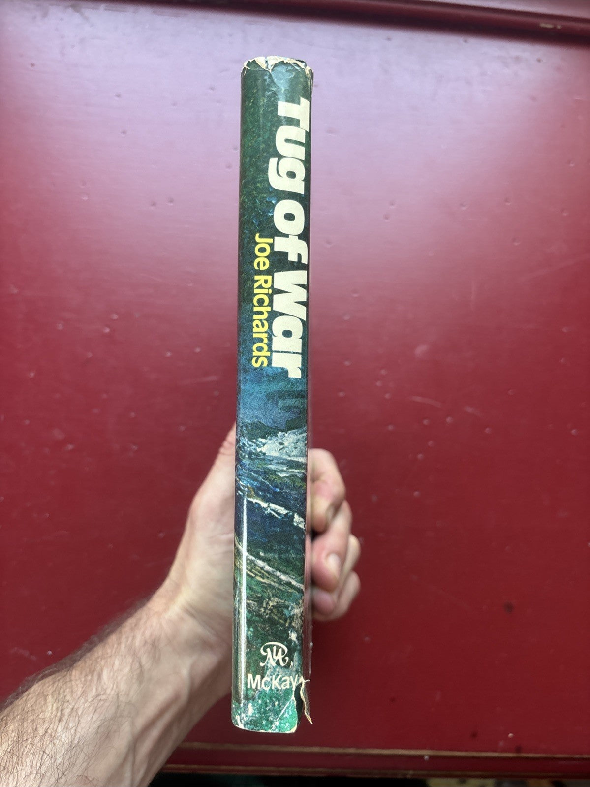 Tug of War by Joe Richards (1979, Hardcover)