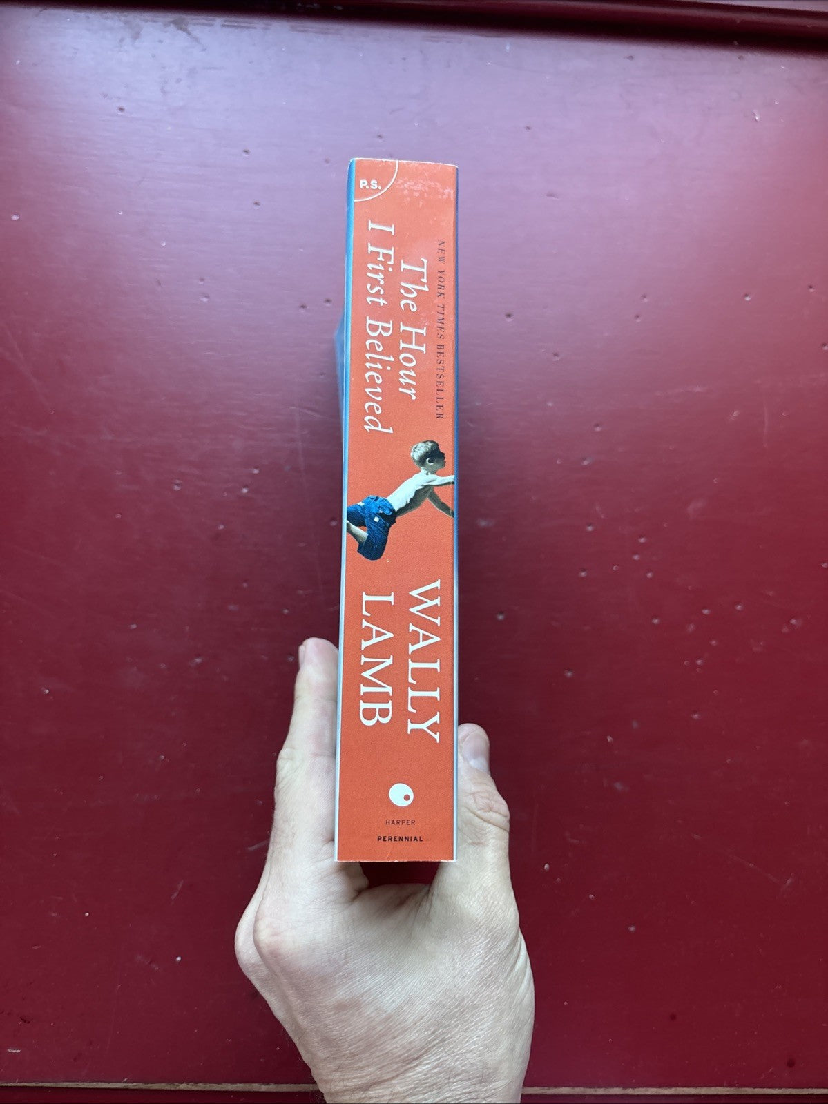 The Hour I First Believed by Wally Lamb (2009, Trade Paperback)