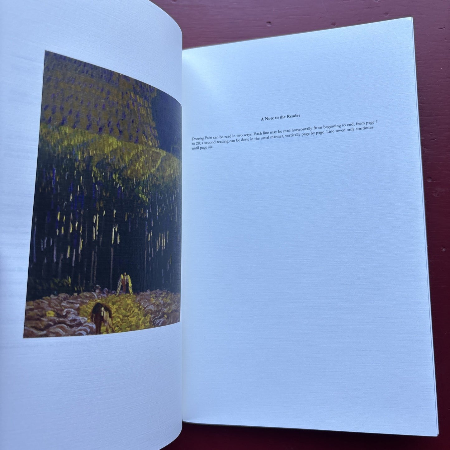 TAOS, NEW MEXCO. DRAWING POINT BY PATRICIA PRUITT 2016 22/100 SIGNED 1ST EDITION