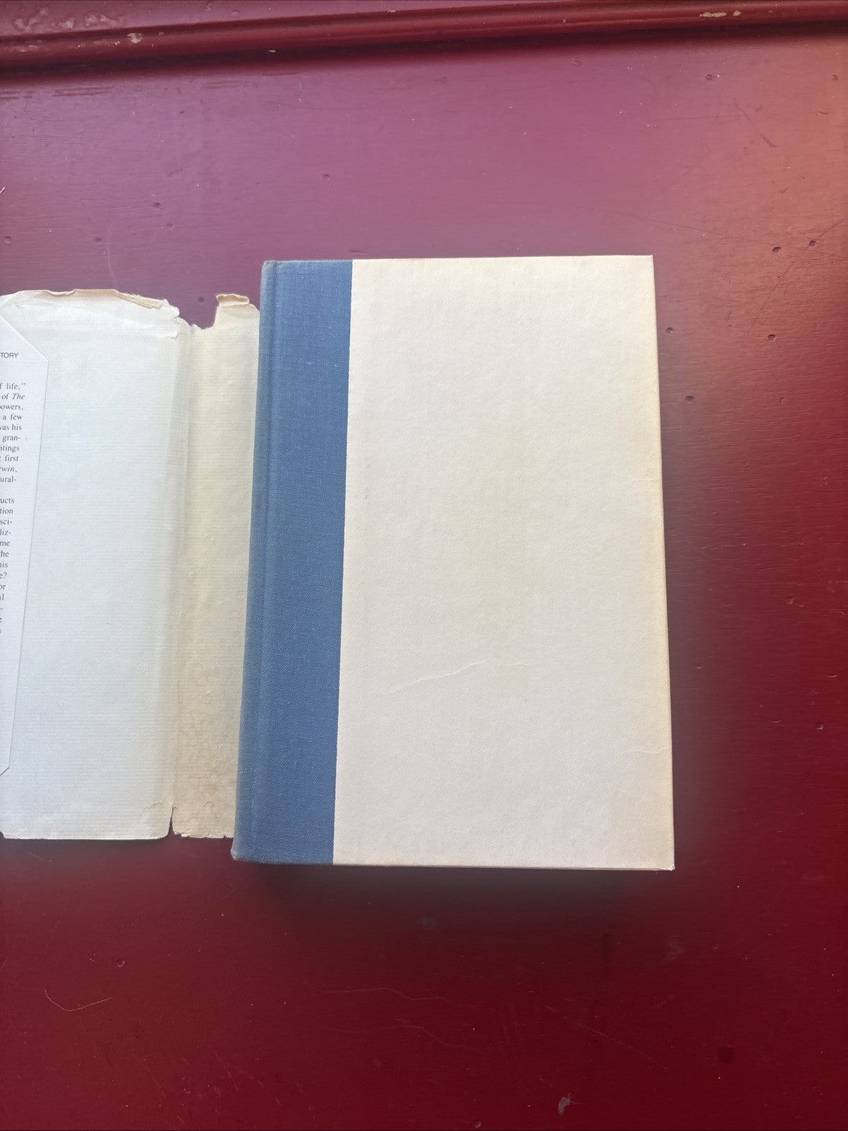 The Panda’s Thumb by Stephen Jay Gould (1980, Hardcover) (1st Ed.)