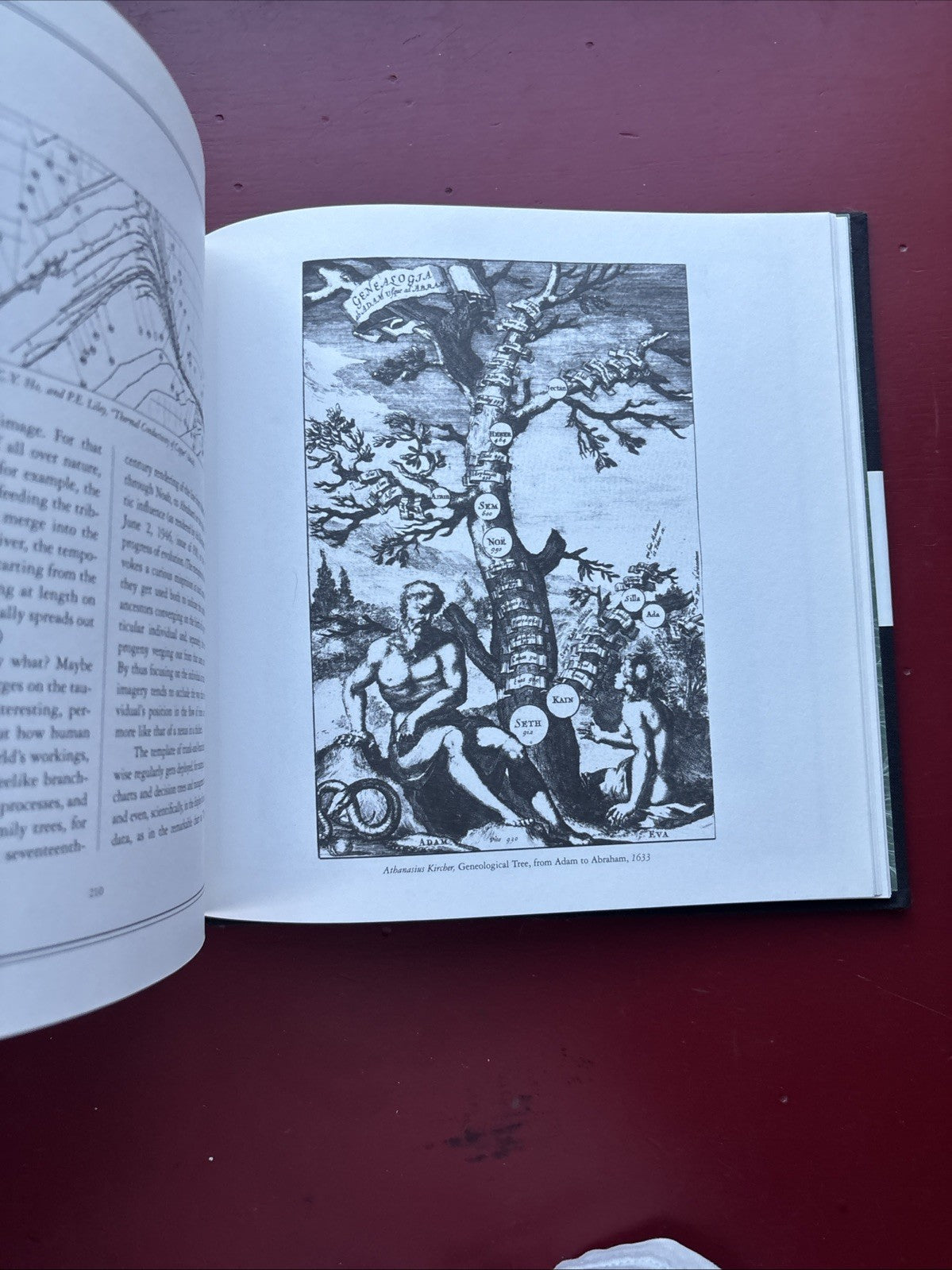 Lawrence Weschler / Everything That Rises A Book of Convergences 1st ed 2006