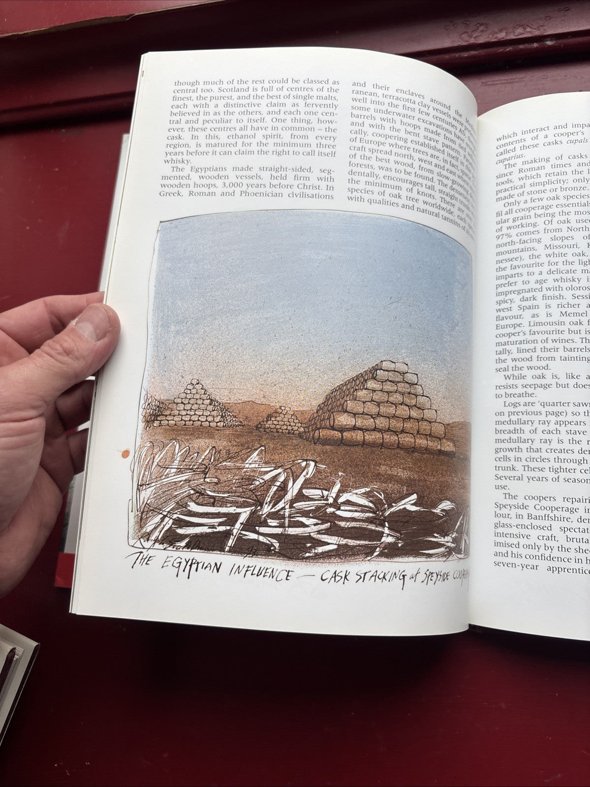 Still Life with Bottle : Whisky According to Ralph Steadman by Ralph Steadman...
