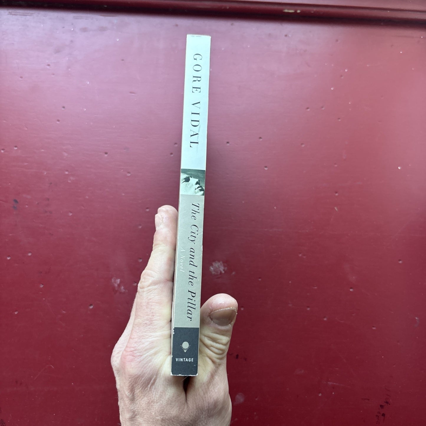 City and the Pillar : A Novel by Gore Vidal (2003, Trade Paperback)