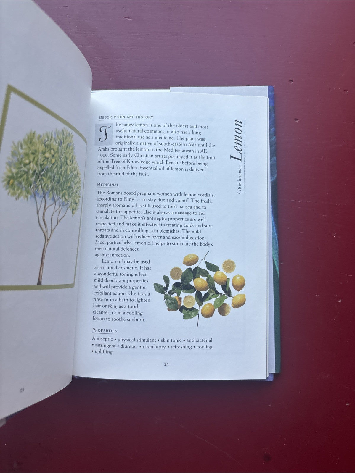 The Art of Aromatherapy Pamela Allardice 1998 Hardcover Essential Oils