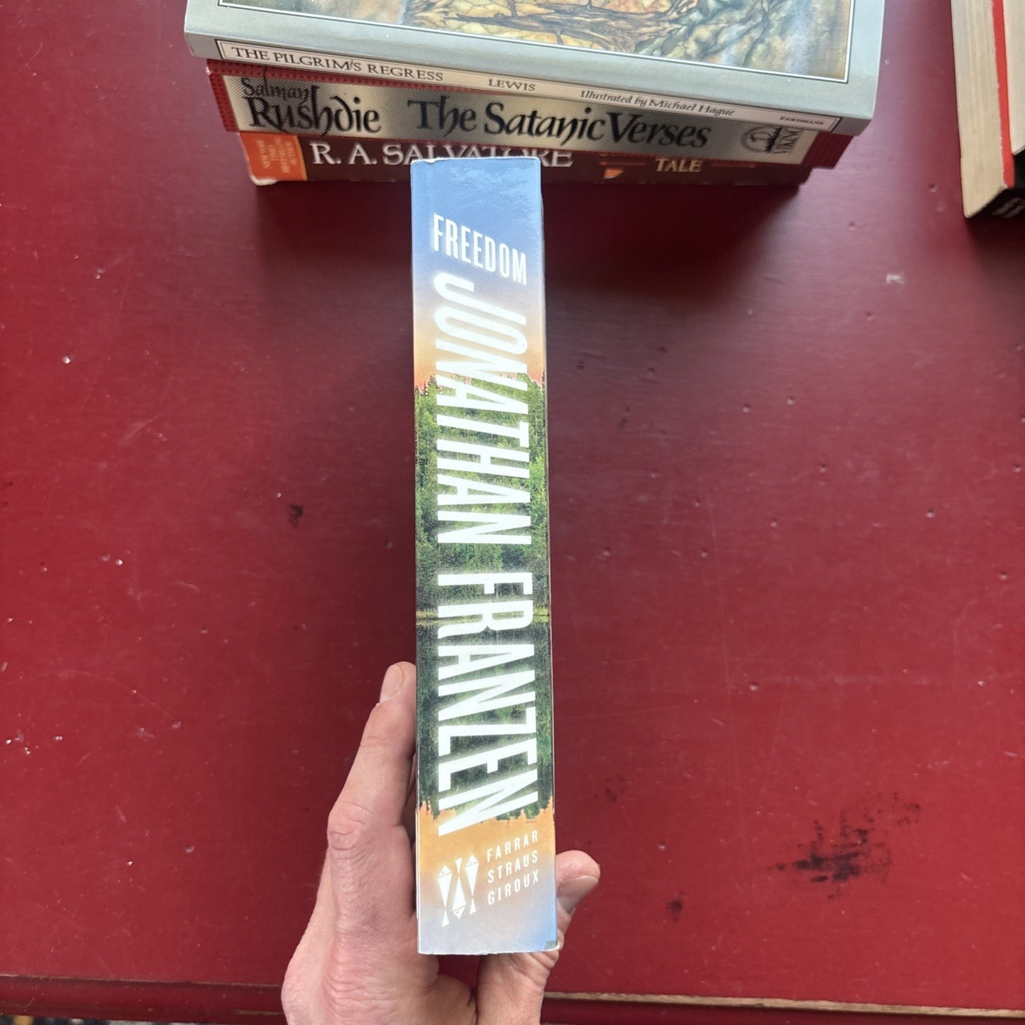 Freedom by Jonathan Franzen (2010, Trade Paperback)