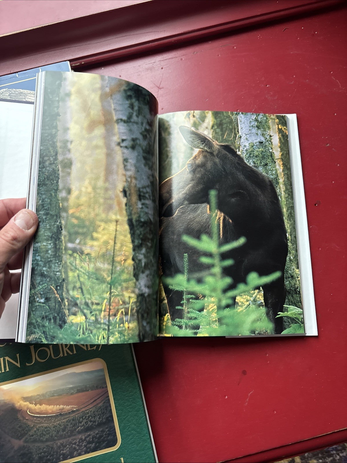Lot of 9 National Geographic Society Books: More Obscure Topics Nature Science