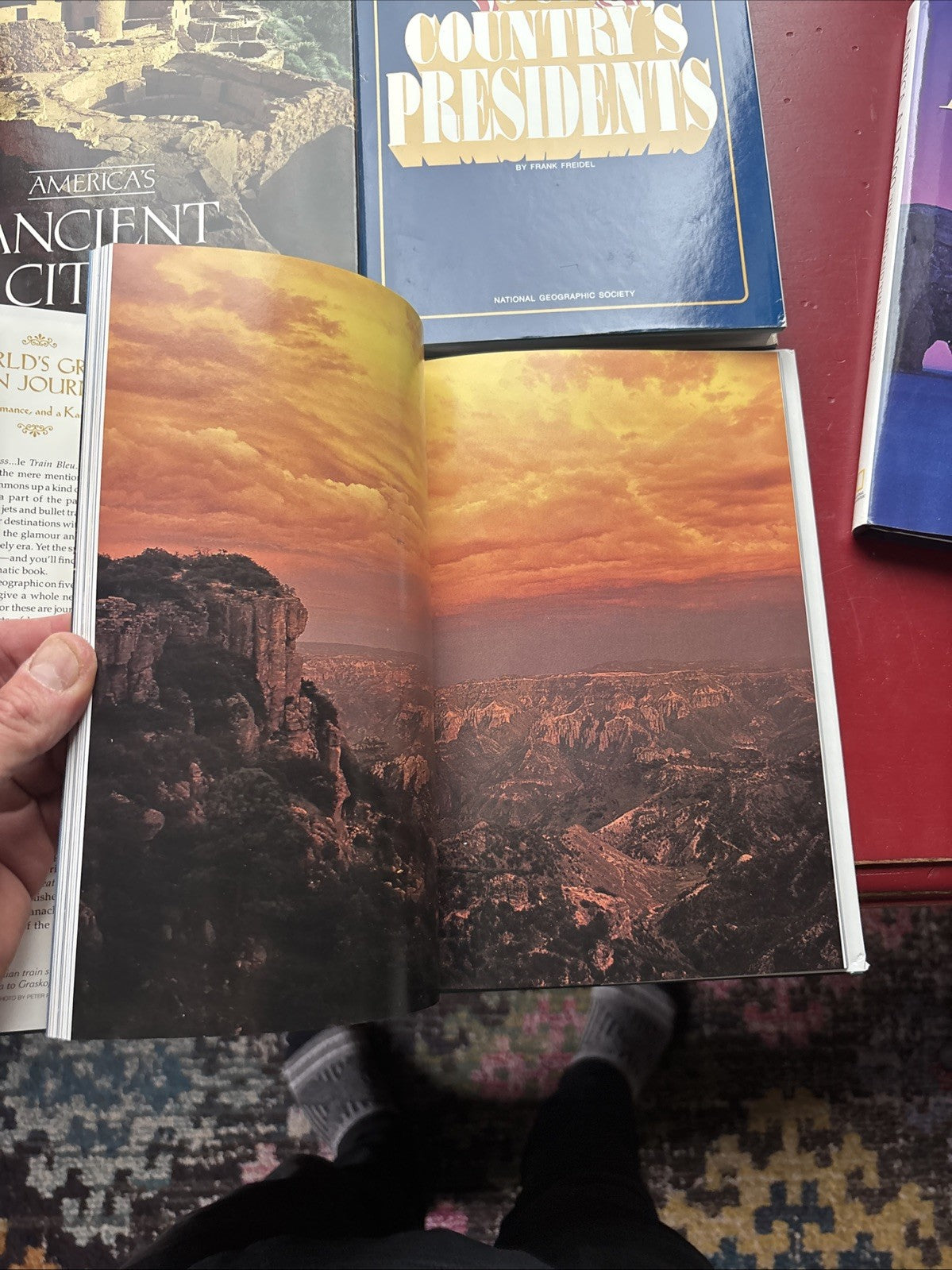 Lot of 9 National Geographic Society Books: More Obscure Topics Nature Science