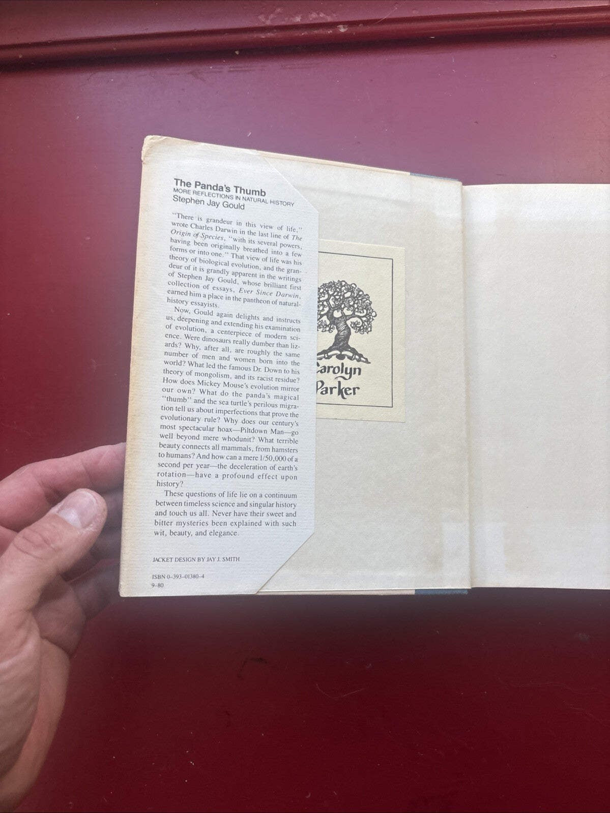 The Panda’s Thumb by Stephen Jay Gould (1980, Hardcover) (1st Ed.)