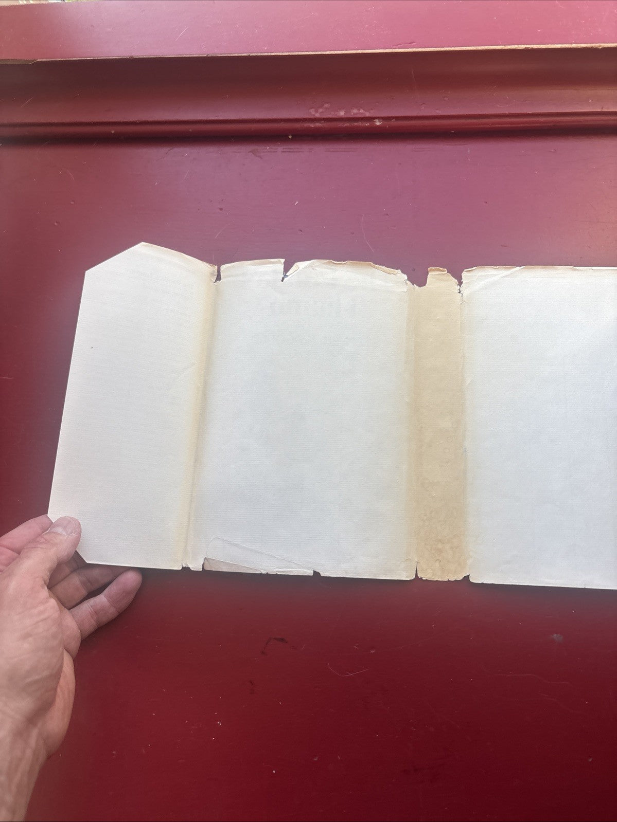 The Panda’s Thumb by Stephen Jay Gould (1980, Hardcover) (1st Ed.)
