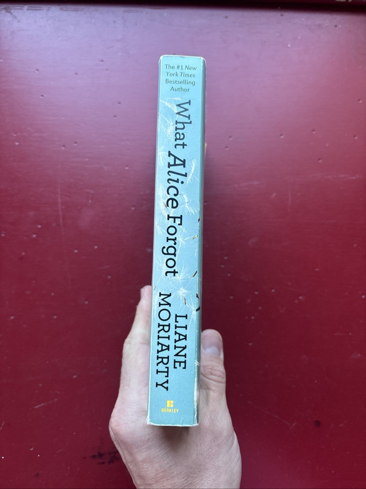 What Alice Forgot by Liane Moriarty (2012, Trade Paperback)