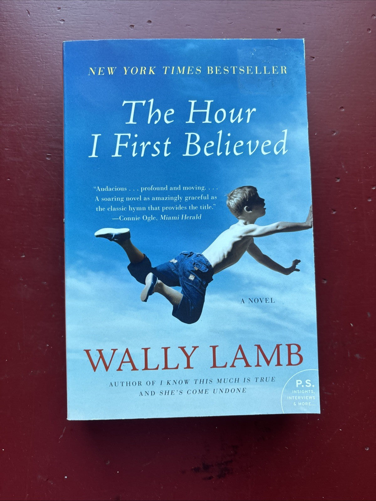 The Hour I First Believed by Wally Lamb (2009, Trade Paperback)