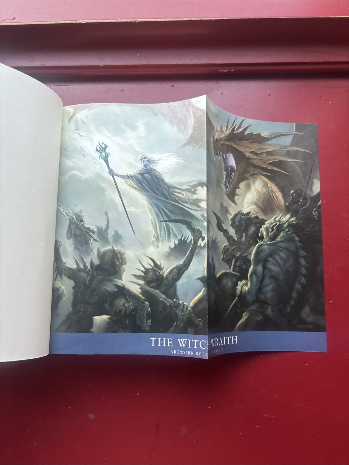 Witch Wraith: Shannara by Terry Brooks (2013, Hardcover) (1st Ed., Signed)