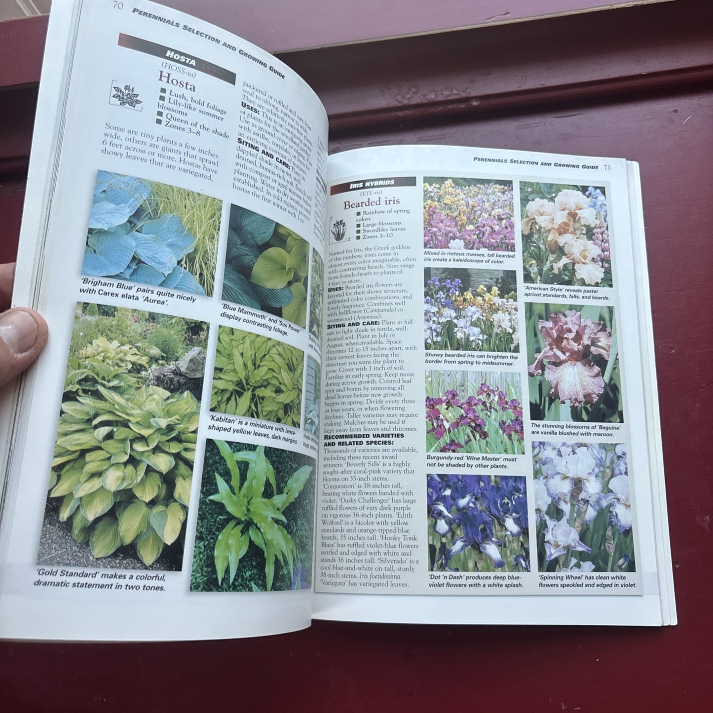 Gardening Books Perennials & Annuals  Planting Guide Ortho Planting Book Lot x2