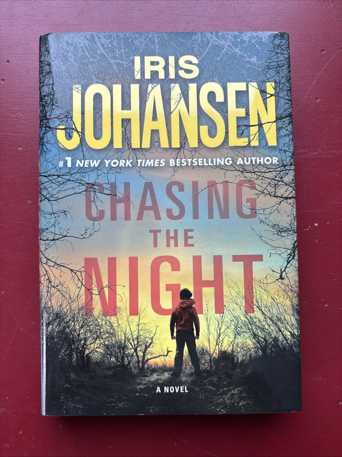Chasing the Night by Iris Johansen (2010, Hardcover)