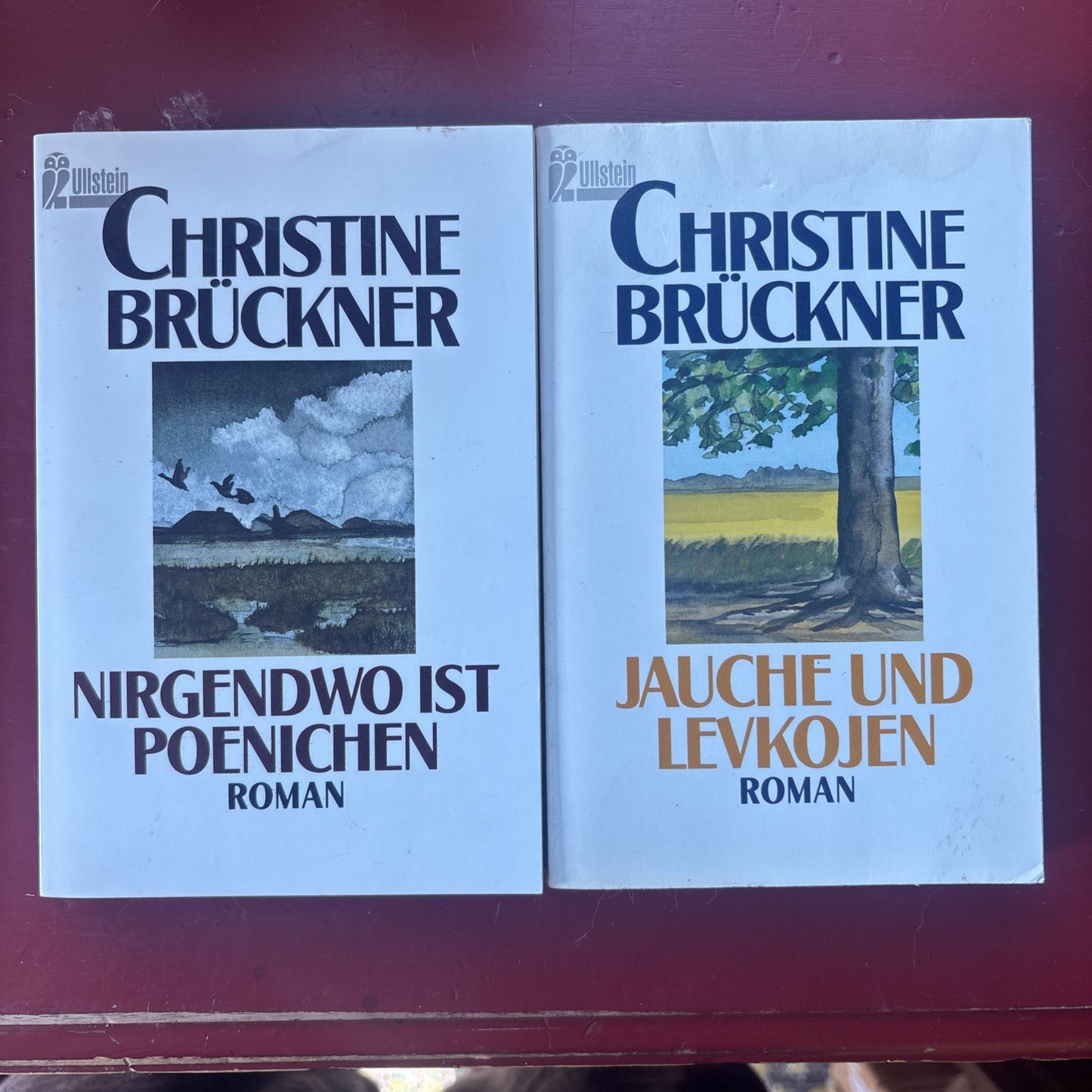 Massive German Book Lot 33 Soft (in German) VG+ Goldmann DTV UT Ullstein Insel