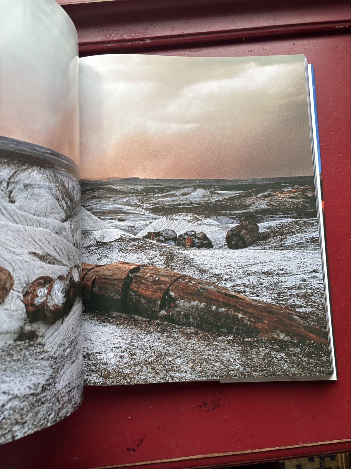 America's Parks by Philippe Bourseiller (2006, Hardcover)