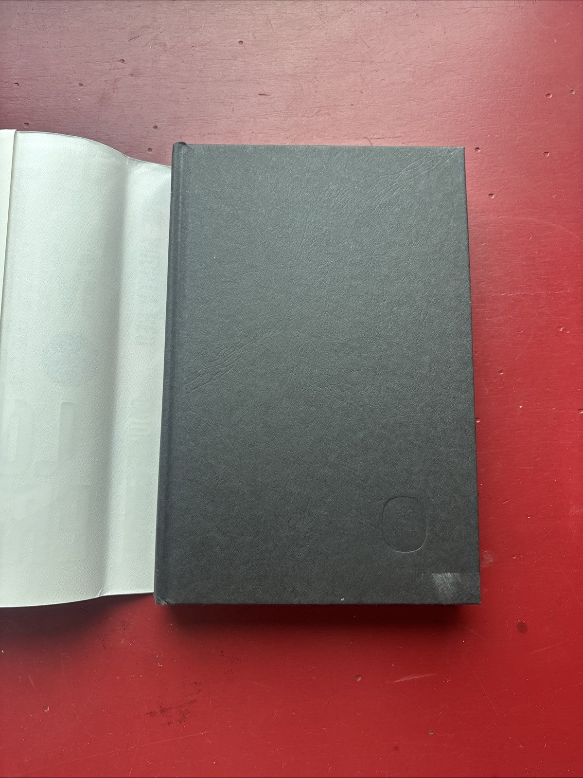 The Mighty Red by Louise Erdrich (2024, Hardcover) (1st Ed.)