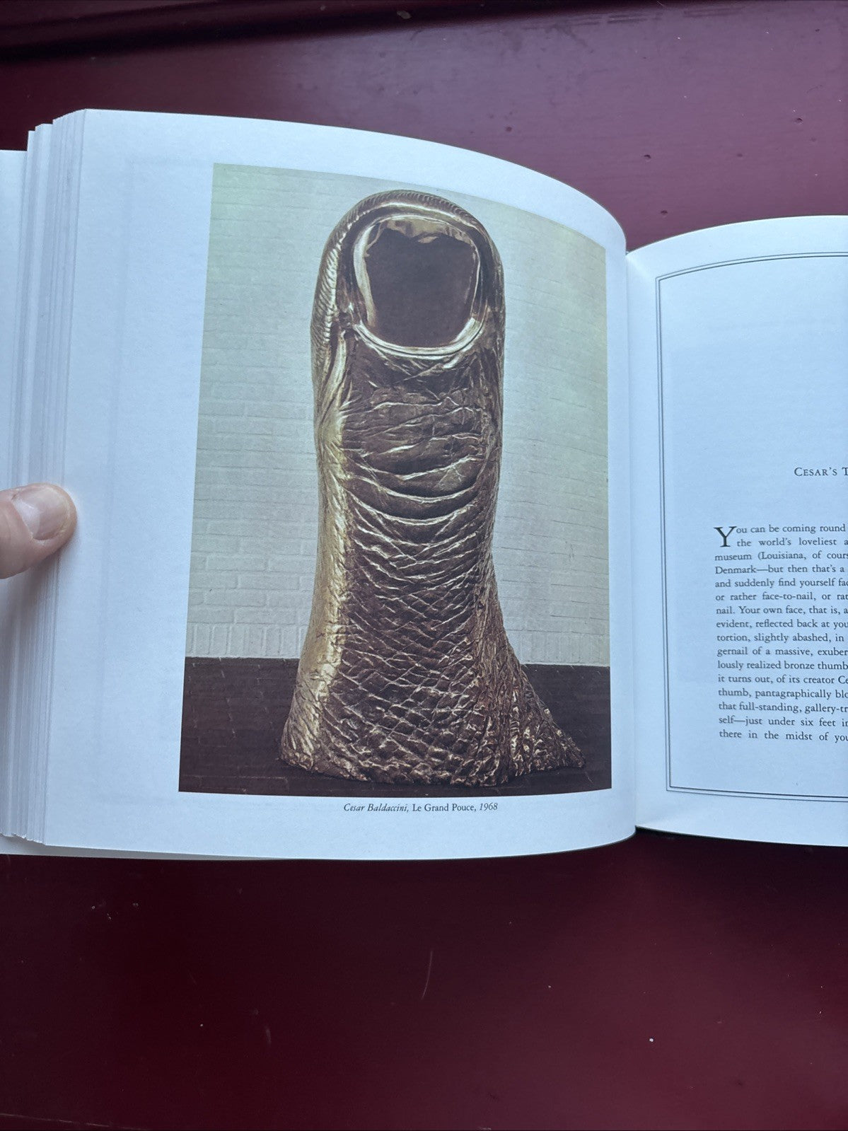 Lawrence Weschler / Everything That Rises A Book of Convergences 1st ed 2006
