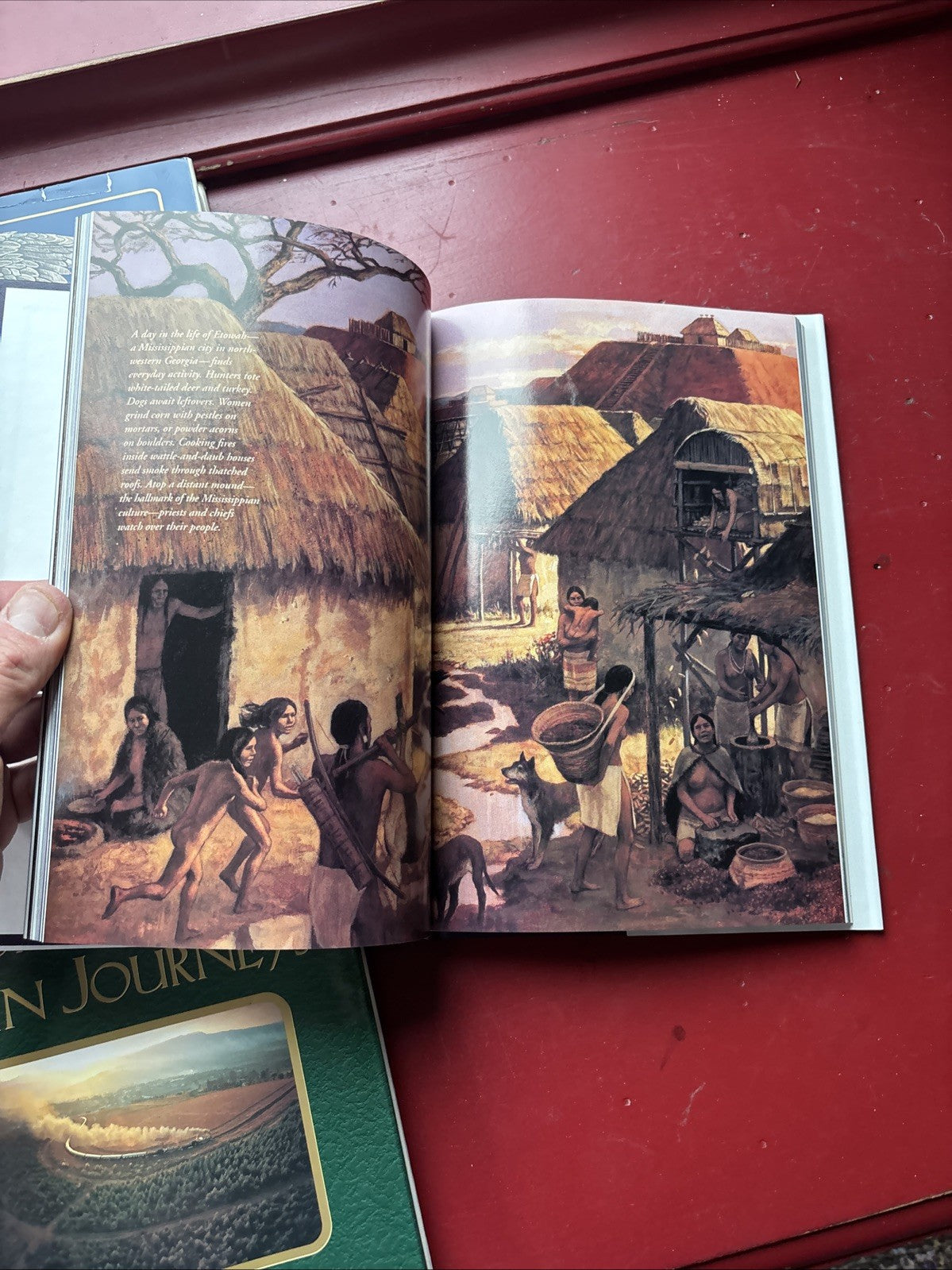 Lot of 9 National Geographic Society Books: More Obscure Topics Nature Science